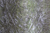 Beaconside fibreglass roof work